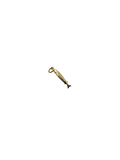 Small Fish Charm
