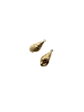Shell Charm