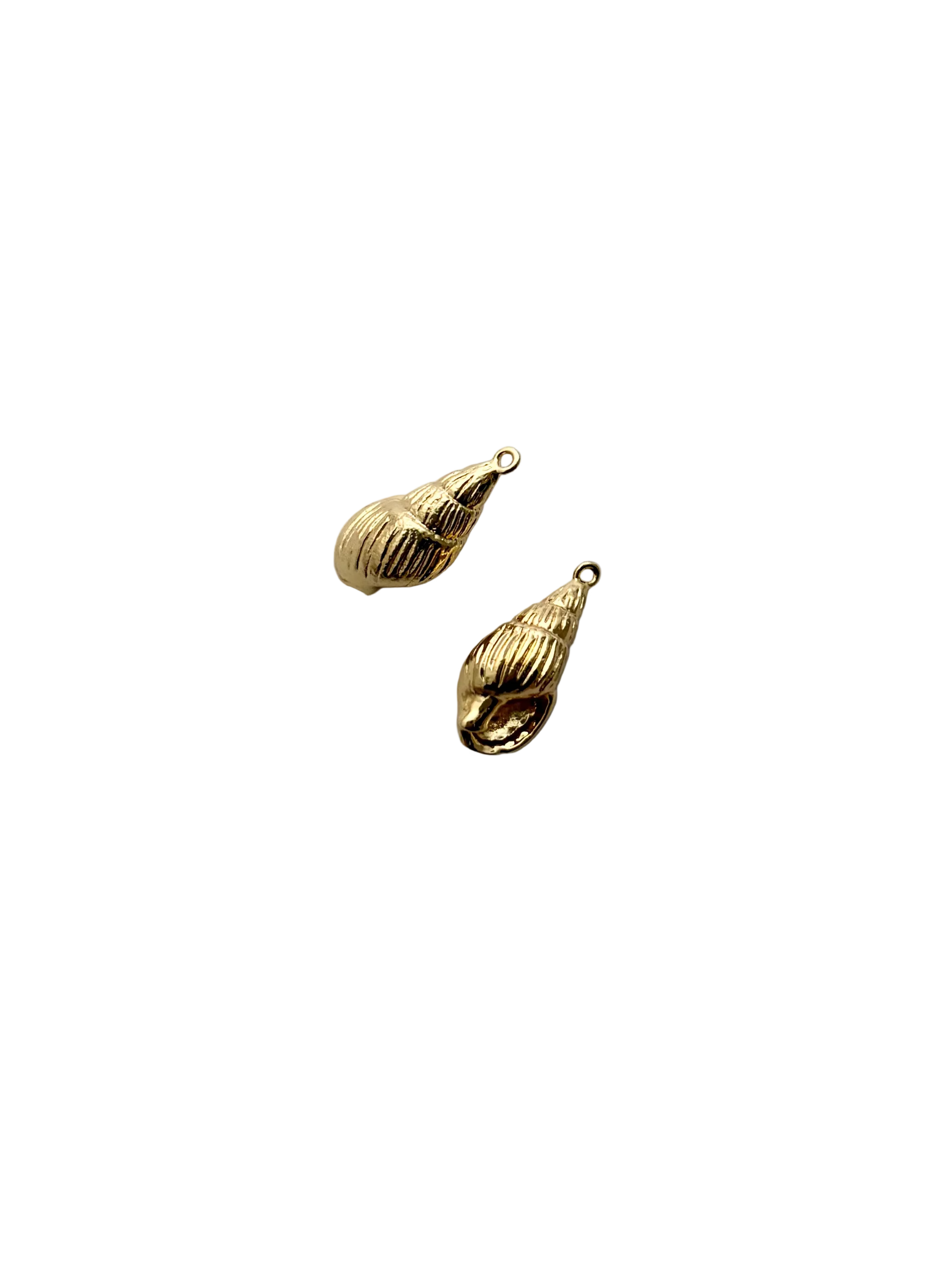 Shell Charm