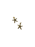 Small Starfish Charm