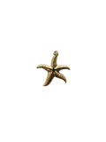 Starfish Charm