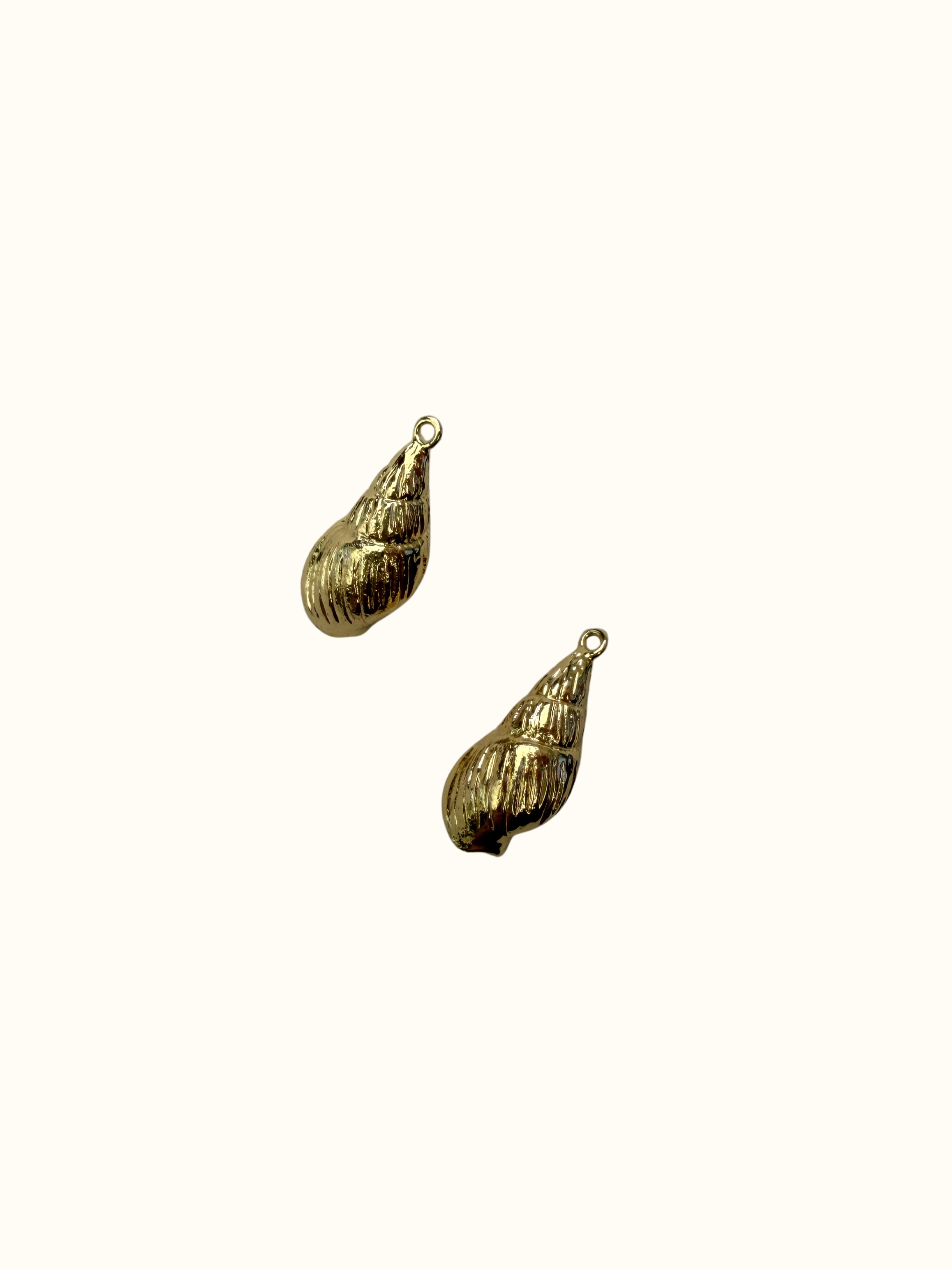 Shell Charm