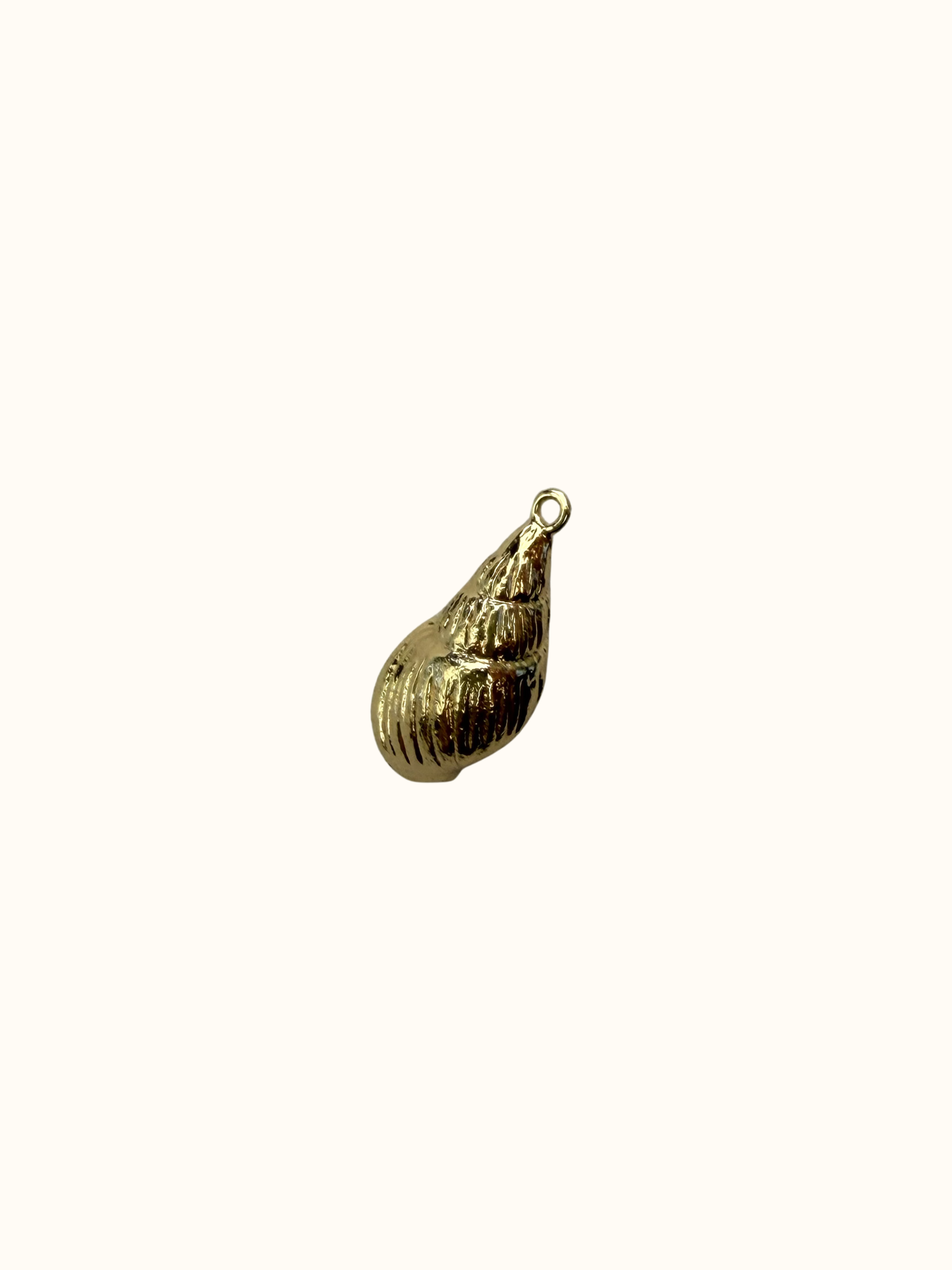 Shell Charm