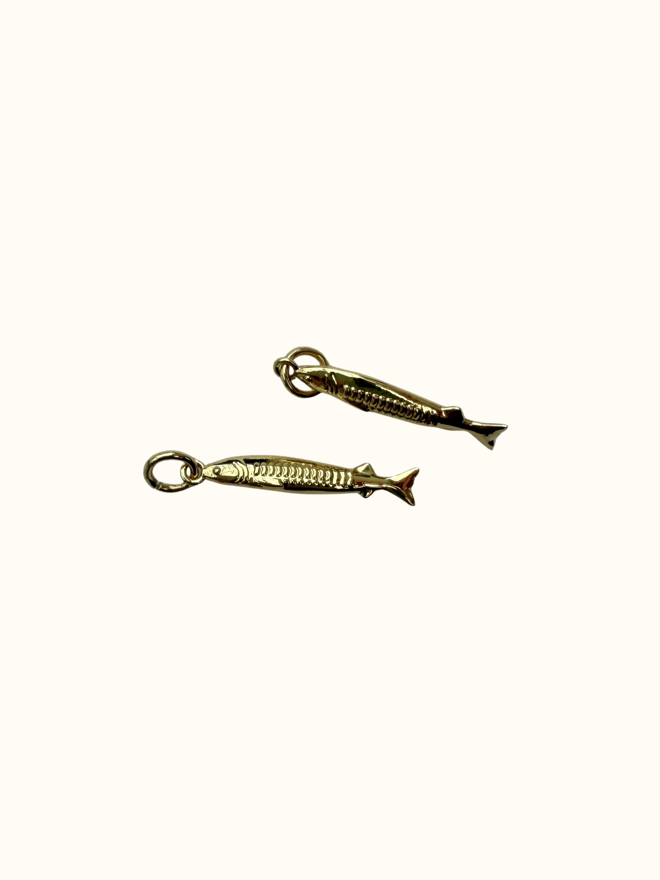 Small Fish Charm