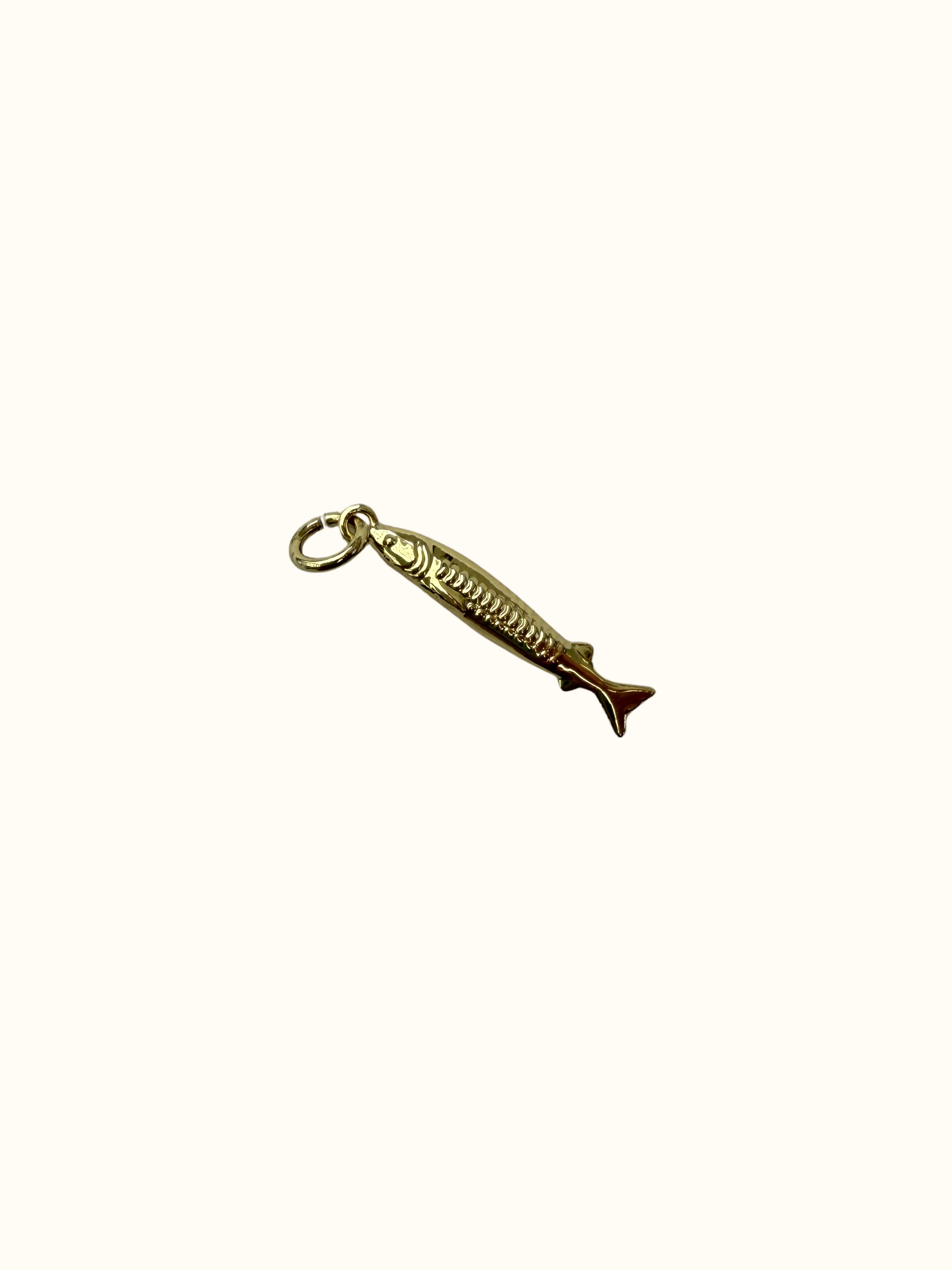 Small Fish Charm