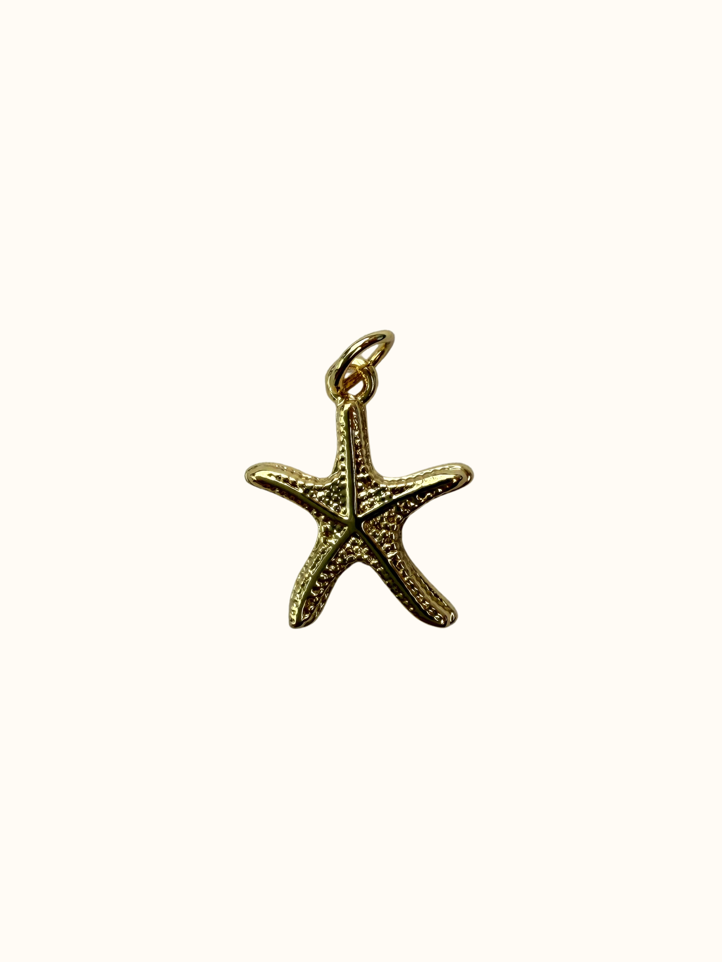 Small Starfish Charm