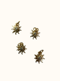 Small Sun Charm