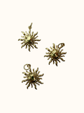 Sun Charm